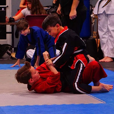 MIXED MARTIAL ARTS LESSONS